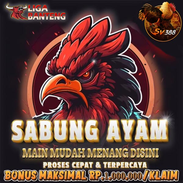 Sabung Ayam